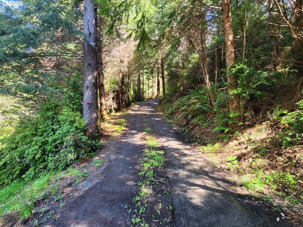 93490 Fir Road Port Orford, OR 97465 - Photo 33 of 47 a view of a yard with plants and trees