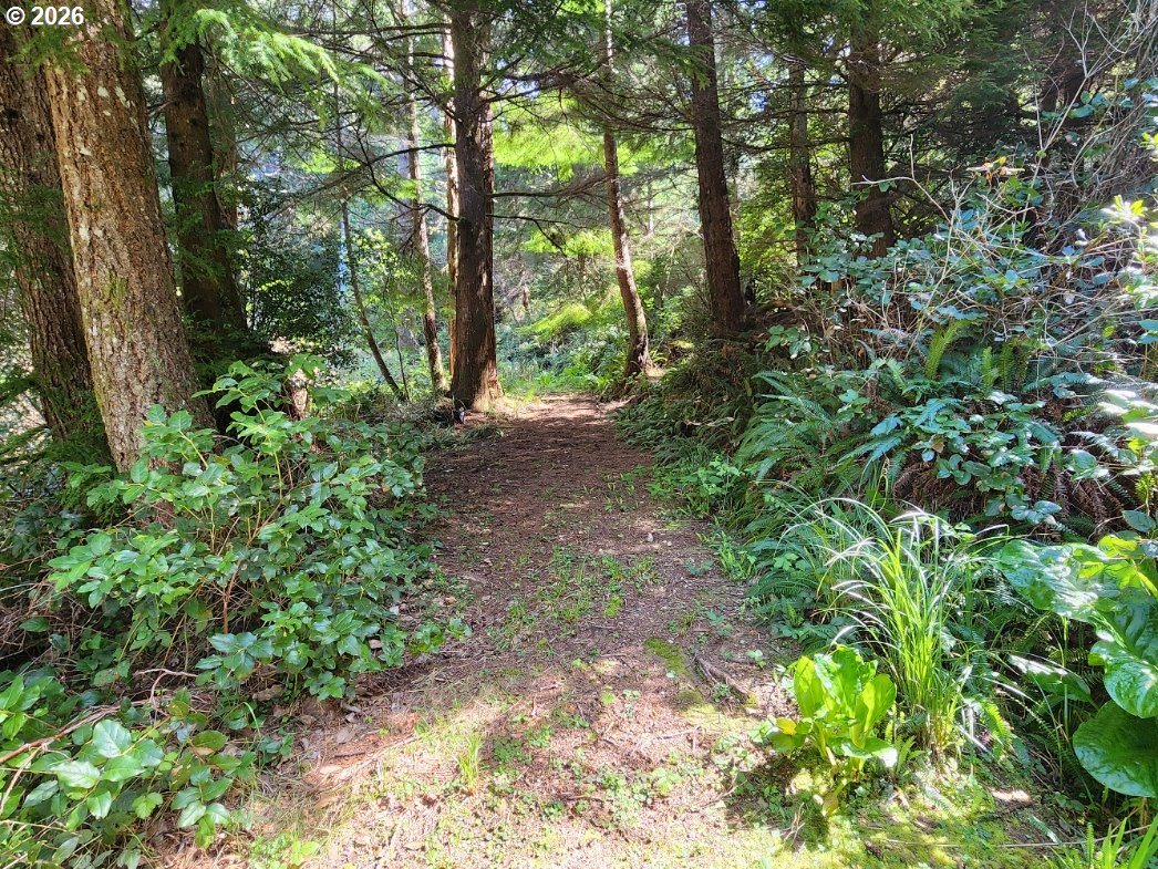 93490 Fir Road Port Orford, OR 97465 - Photo 35 of 47 a view of outdoor space and green space