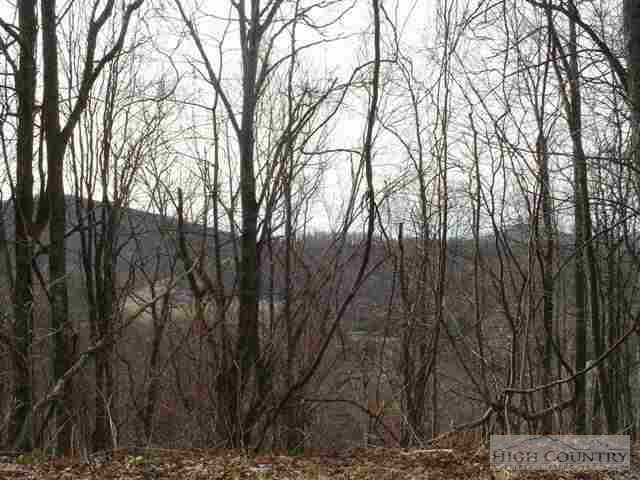 Lot 8 Locust Hill Road Boone, NC 28607 - Photo 1 of 1 Gallery Image 1