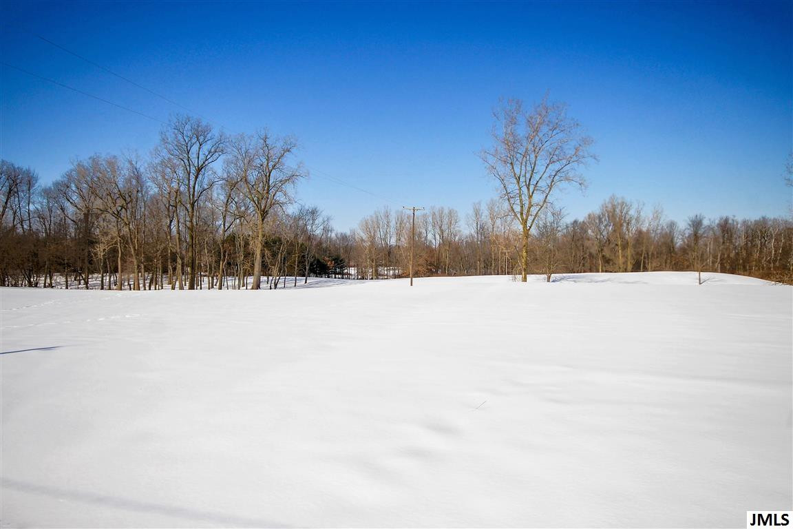 14724 Austin Road Manchester, MI 48158 - Photo 8 of 21 Photo 9