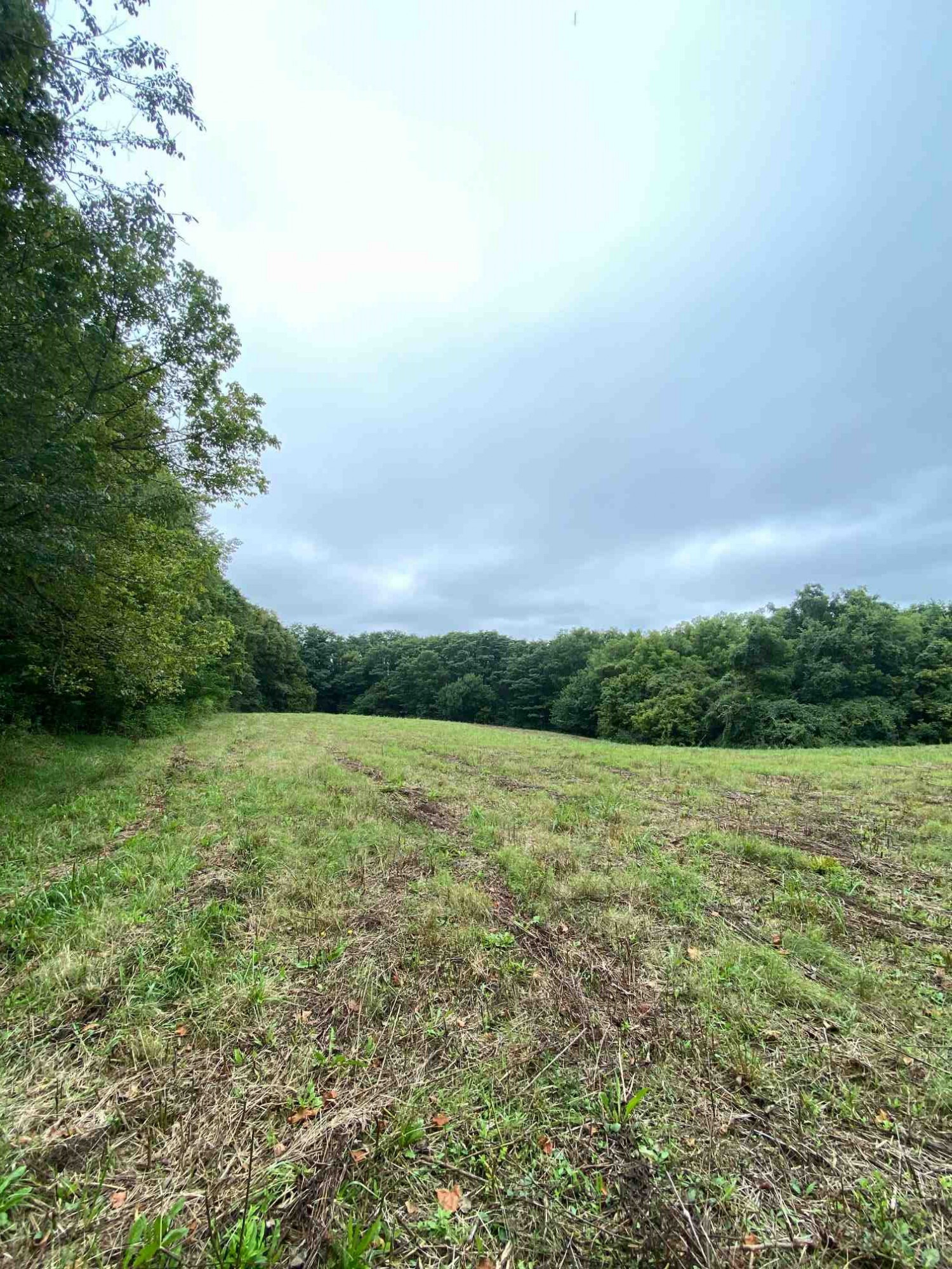 3 Baton Rouge Road Williamstown, KY 41097 - Photo 14 of 25