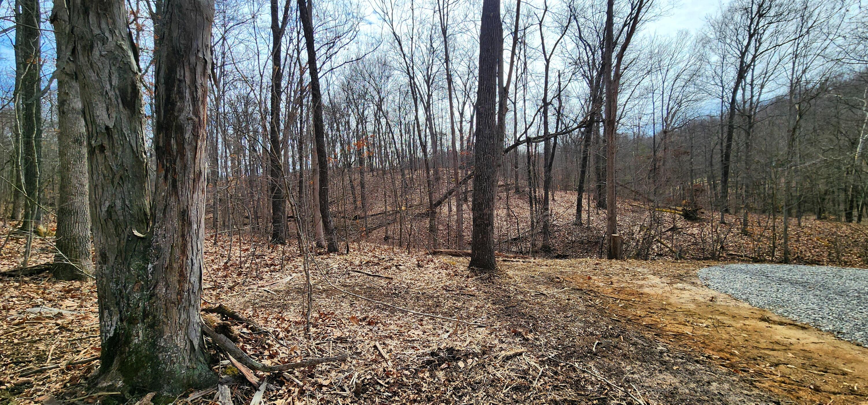 0 Edmundson Road, Unit TRACT 4 AT BIG TIMBER) Vinton, OH 45686 - Photo 11 of 67 12
