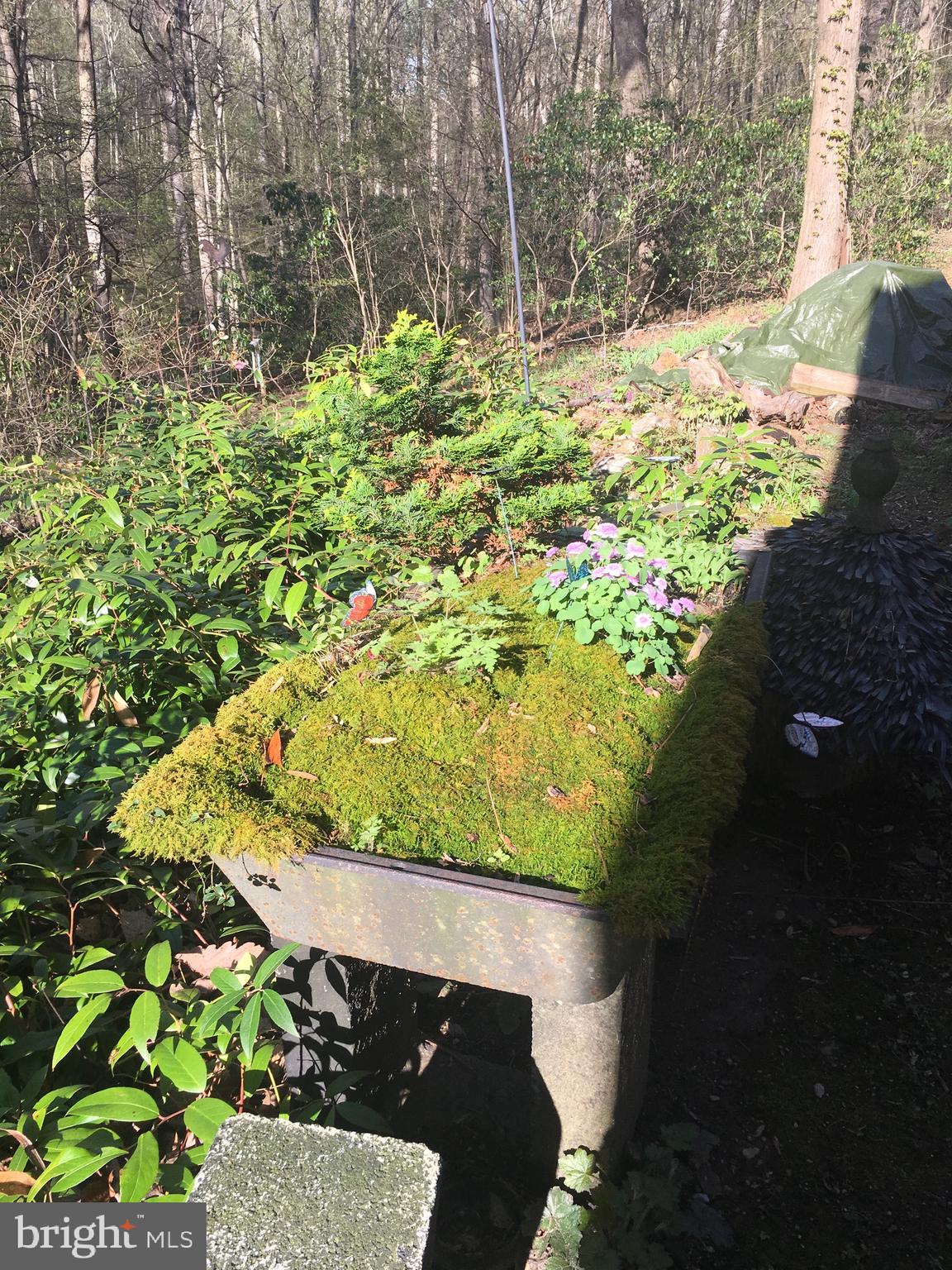 127 Halls Road Red Lion, PA 17356 - Photo 130 of 133 a view of a yard with plants