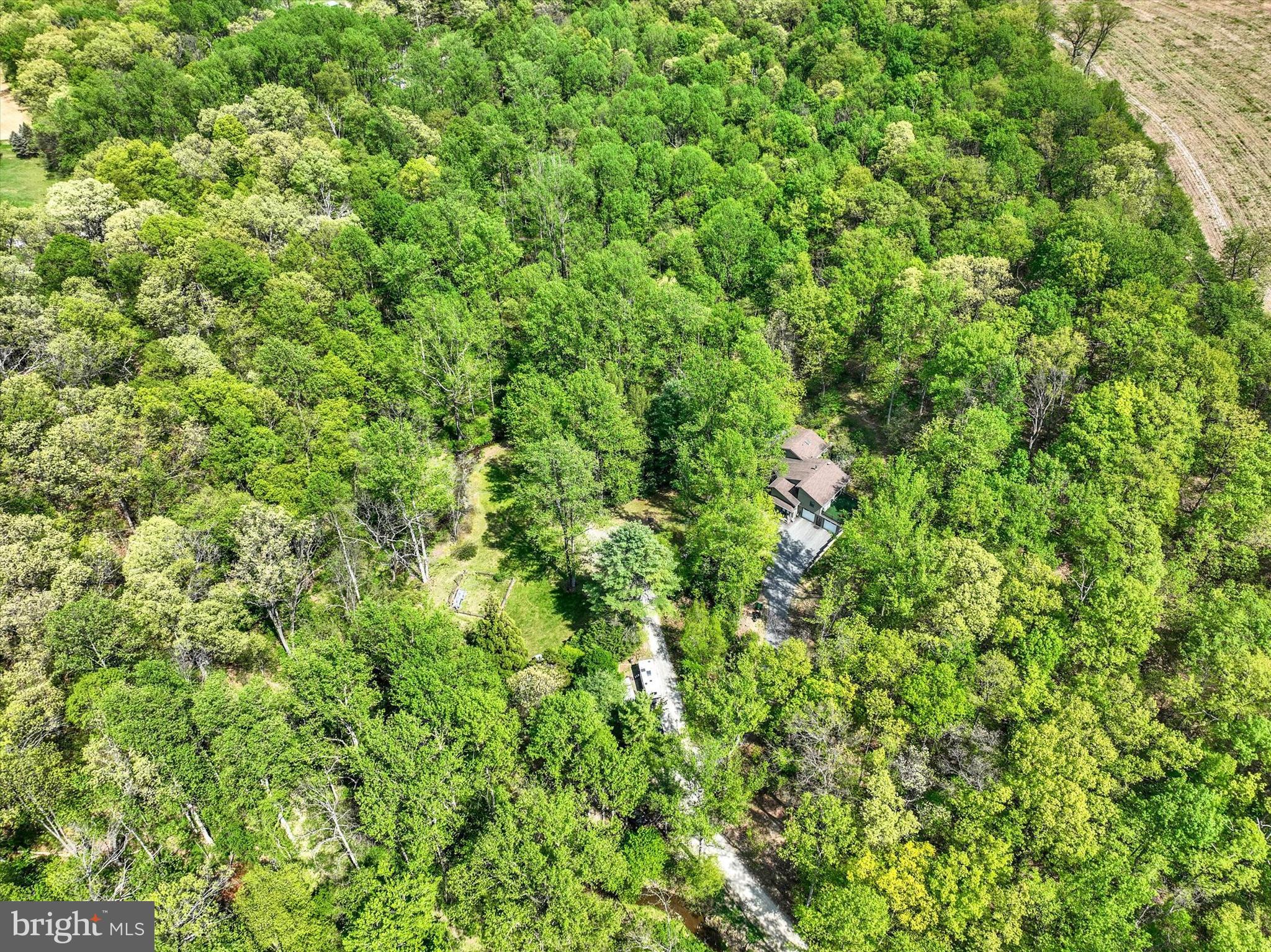 127 Halls Road Red Lion, PA 17356 - Photo 3 of 133 a view of a lush green forest with a tree
