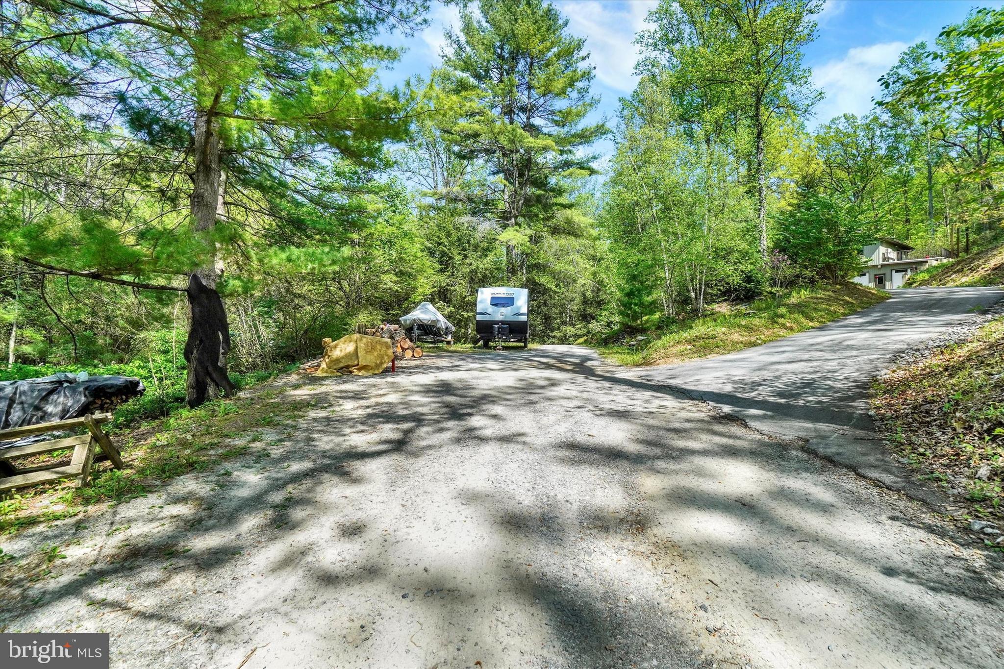 127 Halls Road Red Lion, PA 17356 - Photo 49 of 133 a view of a forest with trees