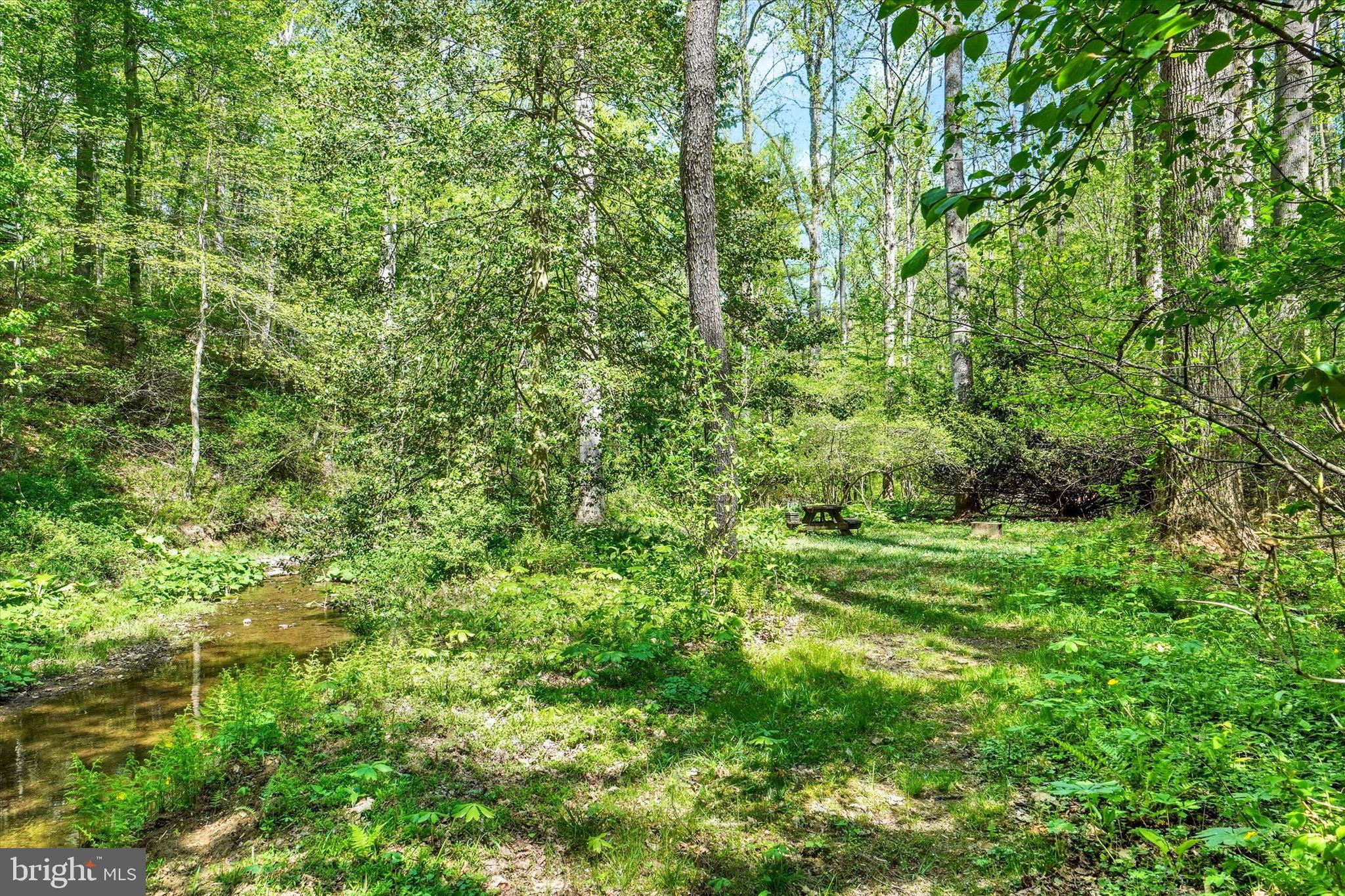127 Halls Road Red Lion, PA 17356 - Photo 54 of 133 a view of a lush green forest