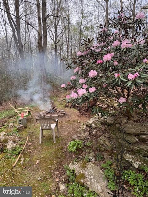 127 Halls Road Red Lion, PA 17356 - Photo 79 of 133 a backyard of a house with table and chairs