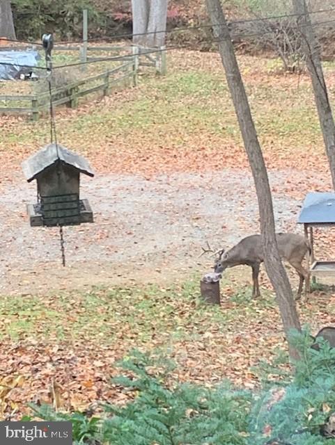 127 Halls Road Red Lion, PA 17356 - Photo 84 of 133