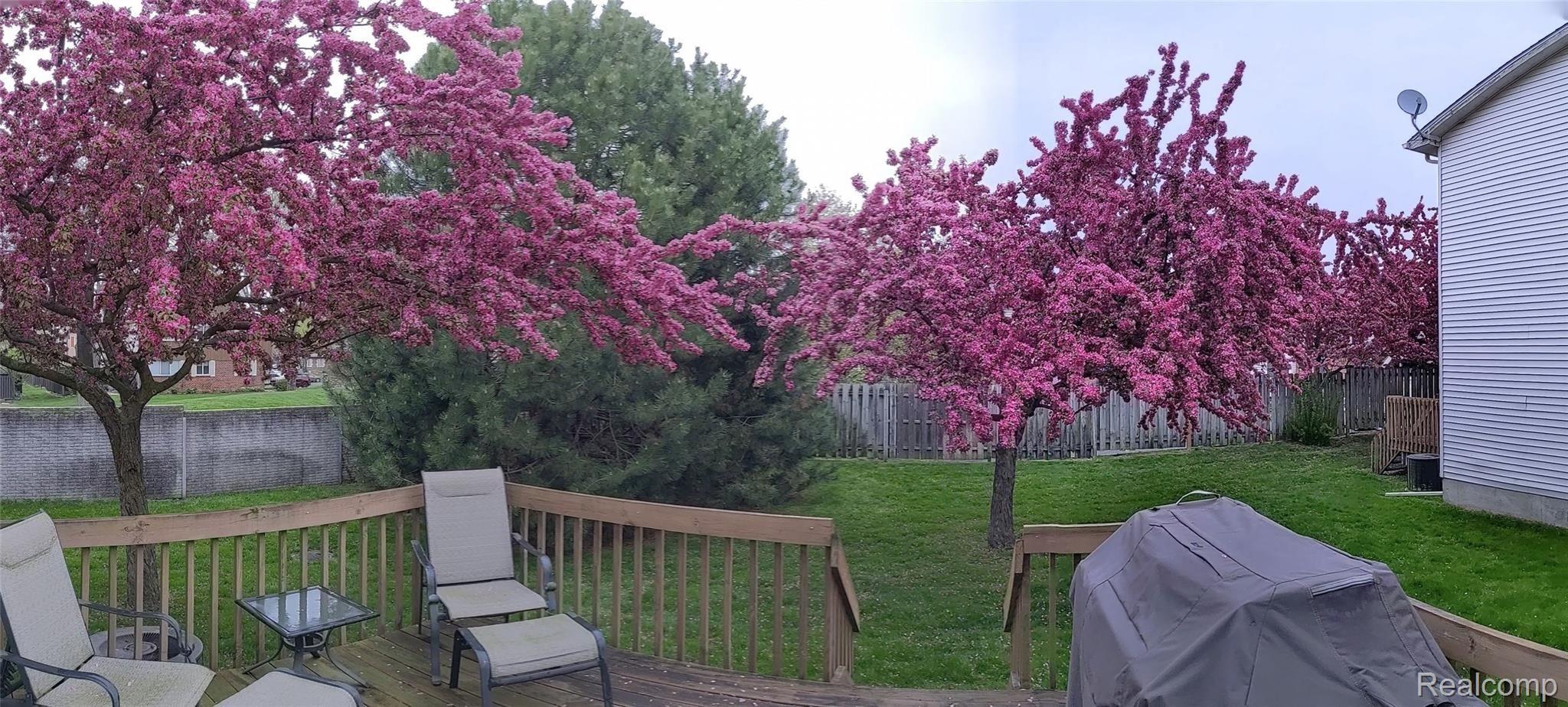 4941 Crooks Road Royal Oak, MI 48073 - Photo 23 of 30 Crooks Trees.jpg