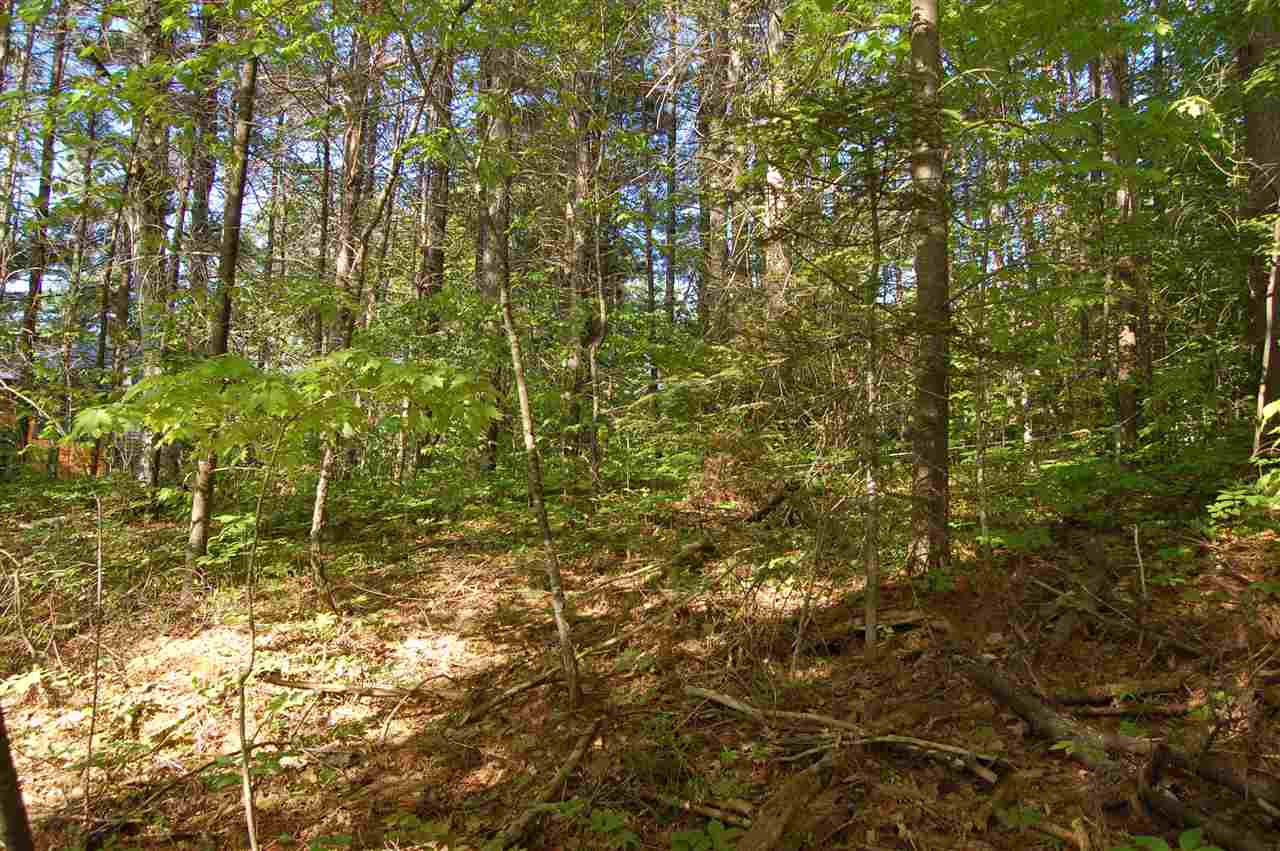 0 Woodcrest Road Springfield, NH 03284 - Photo 7 of 11