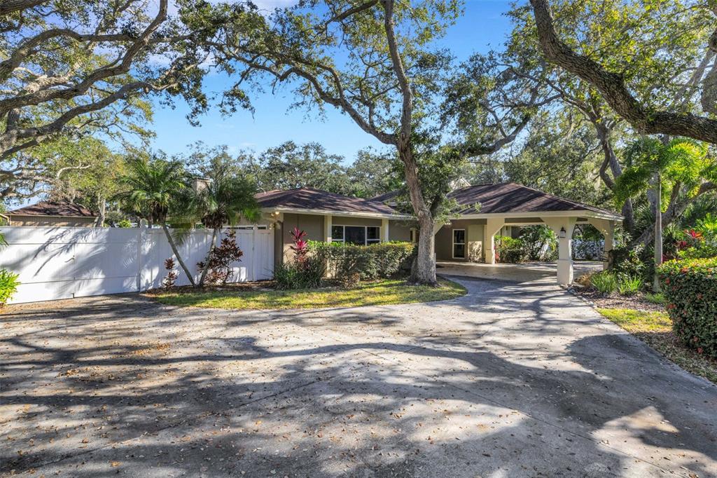 a view of a house with backyard and a tree