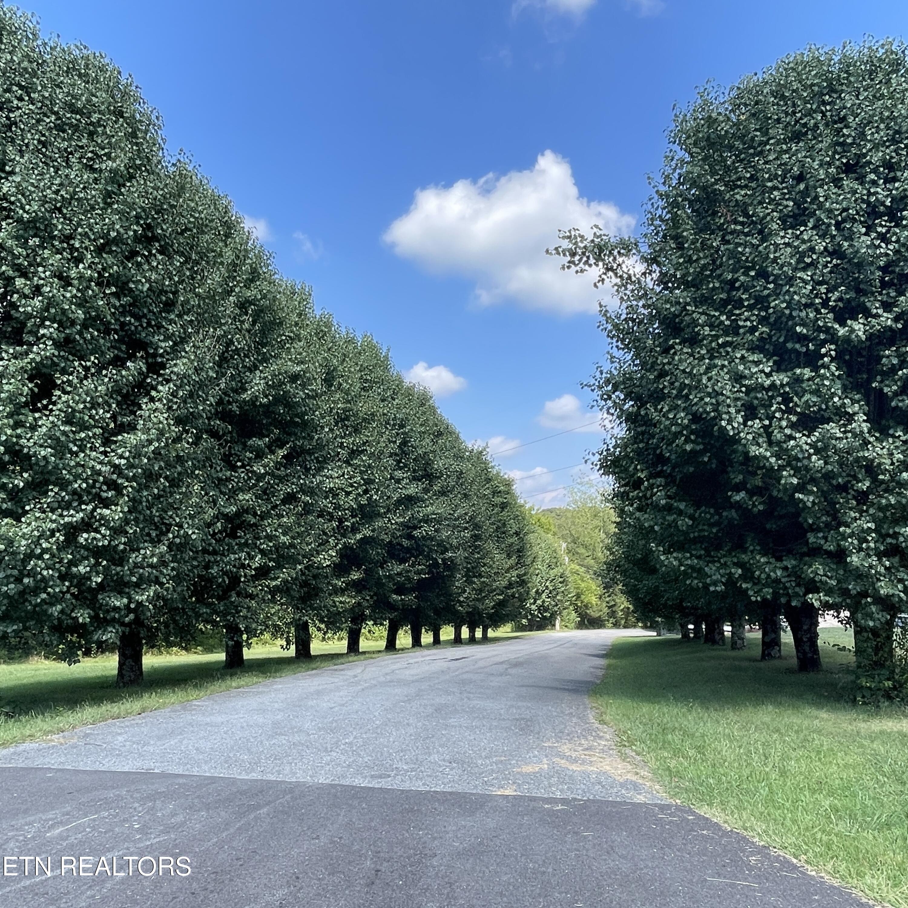 2709 Roberts Road Kodak, TN 37764 - Photo 5 of 40 20250820_191457795_iOS