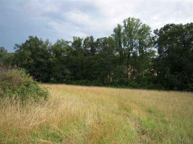 489 Roanoke Road Liberty, SC 29657 - Photo 3 of 24