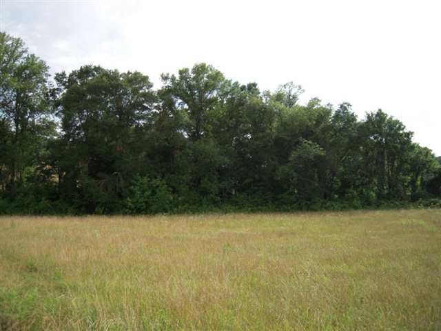 489 Roanoke Road Liberty, SC 29657 - Photo 4 of 24