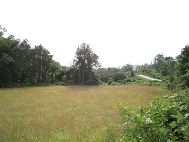 489 Roanoke Road Liberty, SC 29657 - Photo 5 of 24