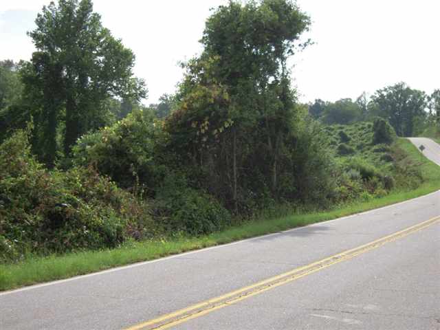 489 Roanoke Road Liberty, SC 29657 - Photo 8 of 24