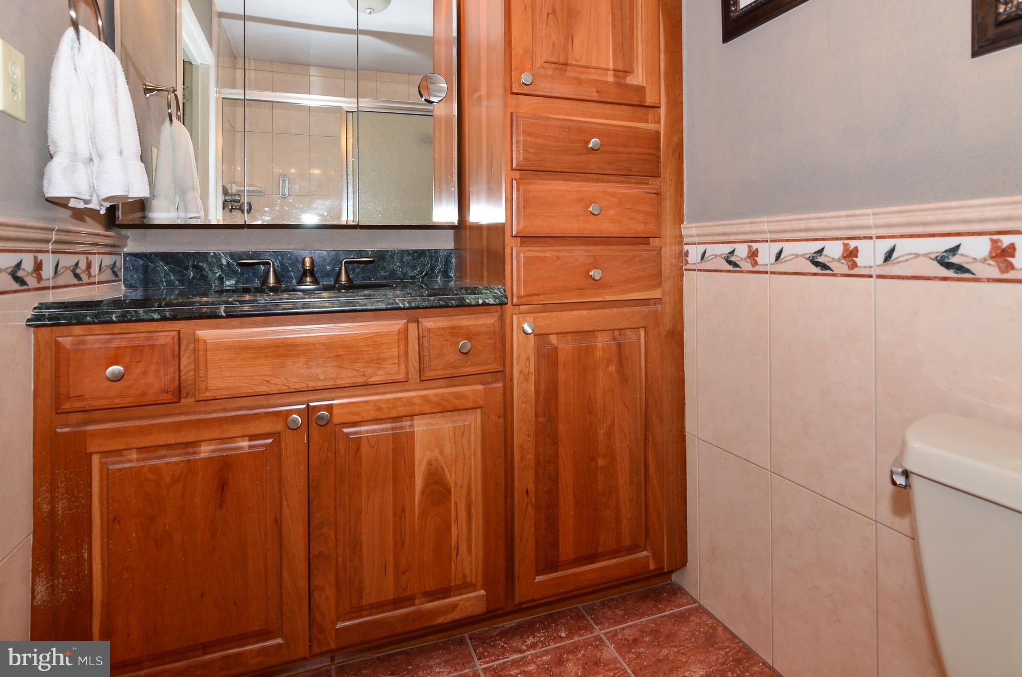 2023 Wethersfield Court Reston, VA 20191 - Photo 17 of 30 Bath (Master)