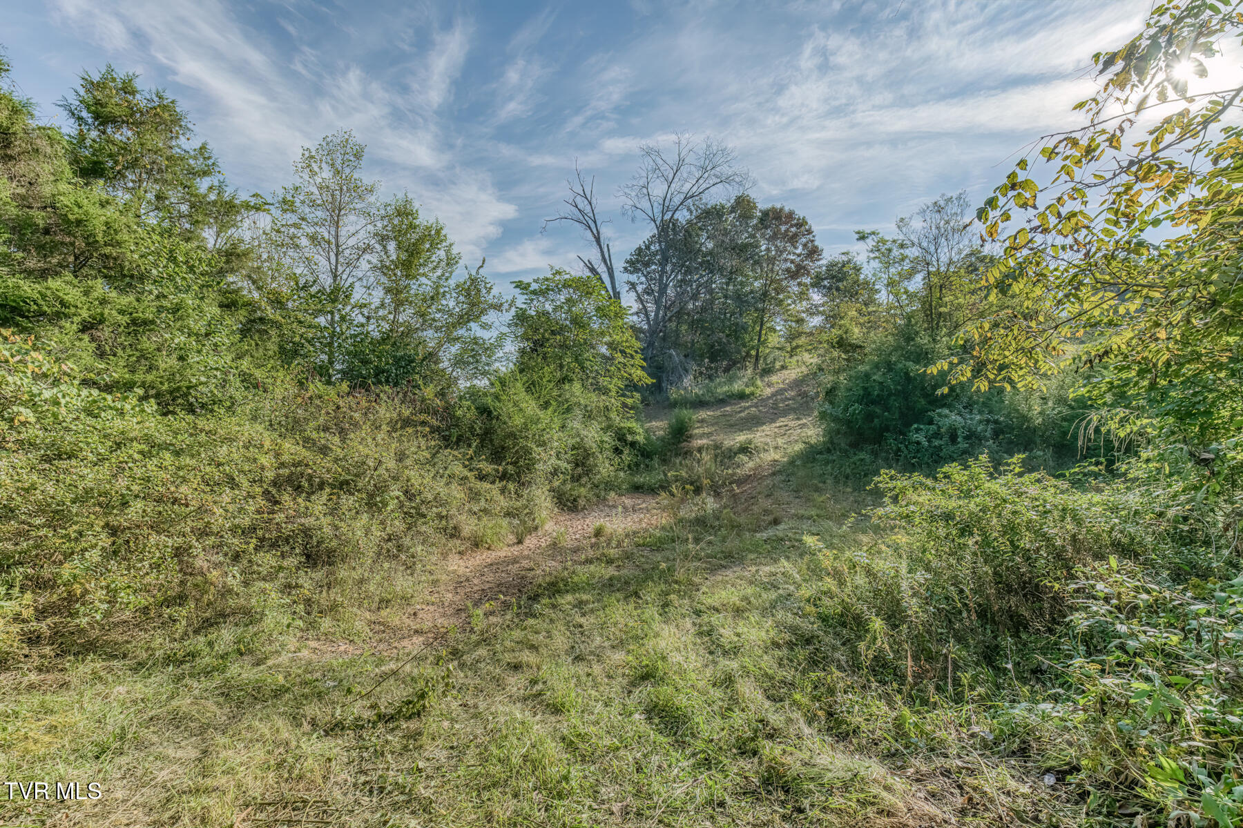 1680 Old Milburnton Road Limestone, TN 37681 - Photo 31 of 62 1680 Old Milburnton Rd-34