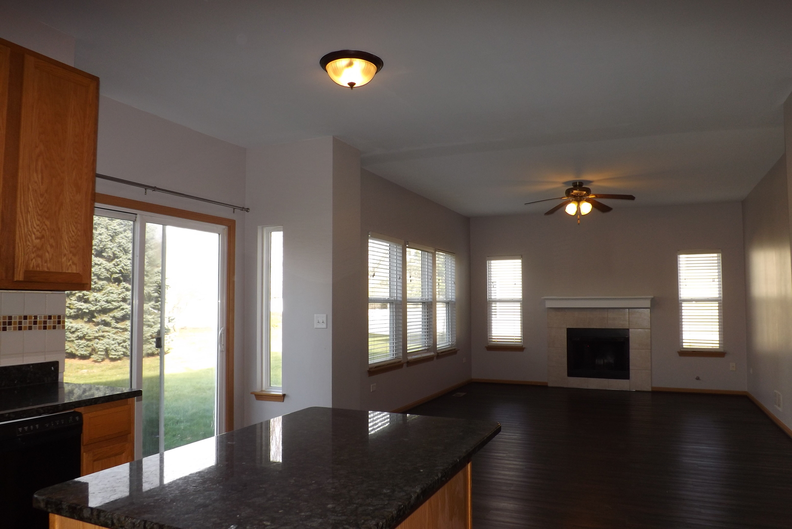 1865 Cattail Circle Aurora, IL 60504 - Photo 7 of 14 a view of a living room with hardwood floor and a fireplace