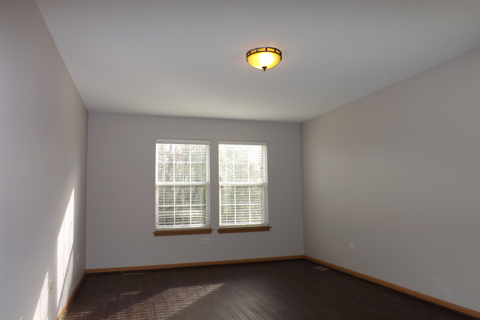 1865 Cattail Circle Aurora, IL 60504 - Photo 9 of 14 a view of a room with wooden floor and windows