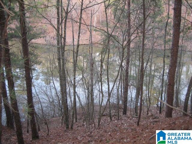 Taylors Ferry Road, Unit 11 Parrish, AL 35580 - Photo 2 of 3 Gallery Image 2