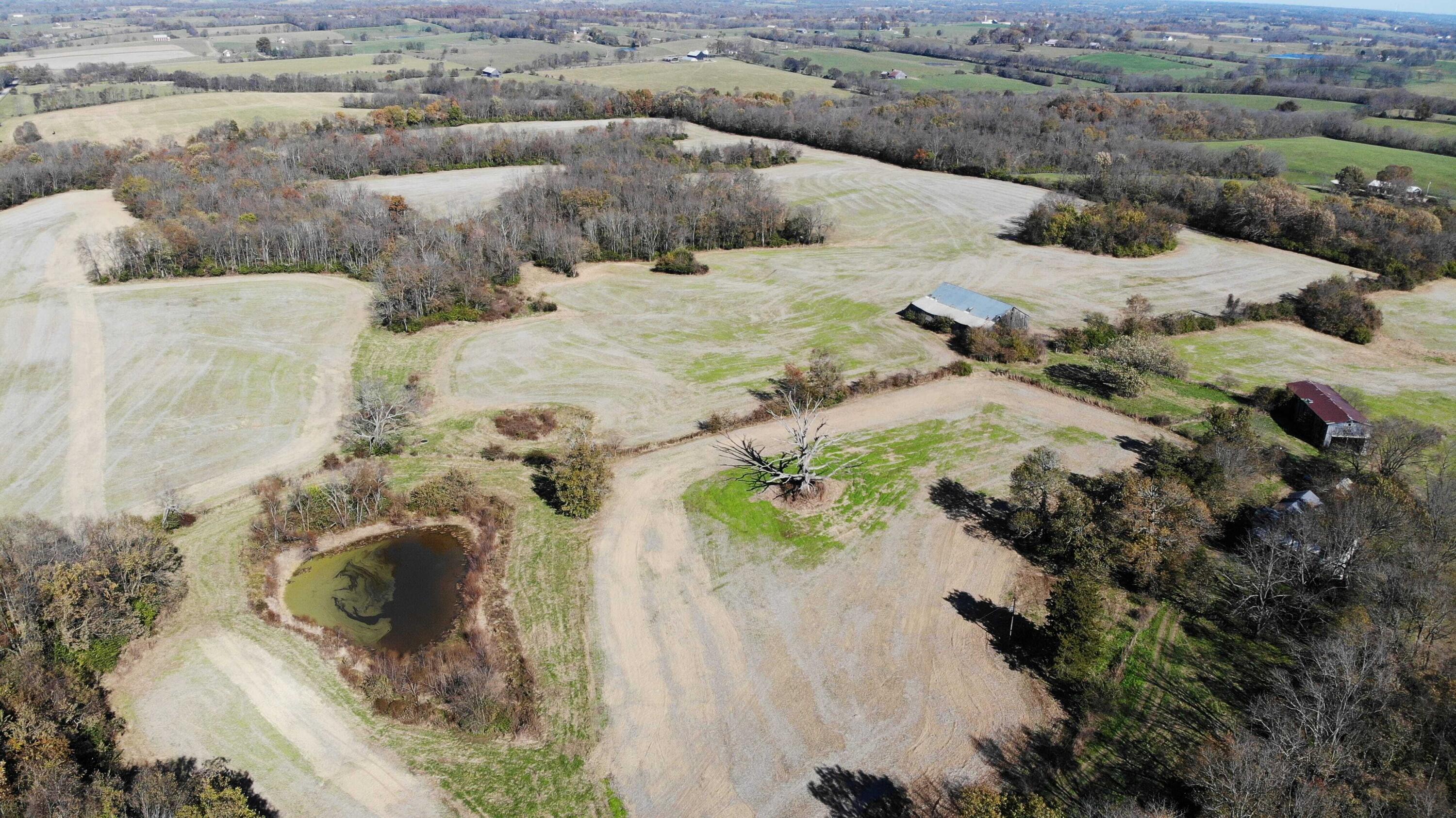 0 Redmon Road Paris, KY 40361 - Photo 1 of 6 dji_0759