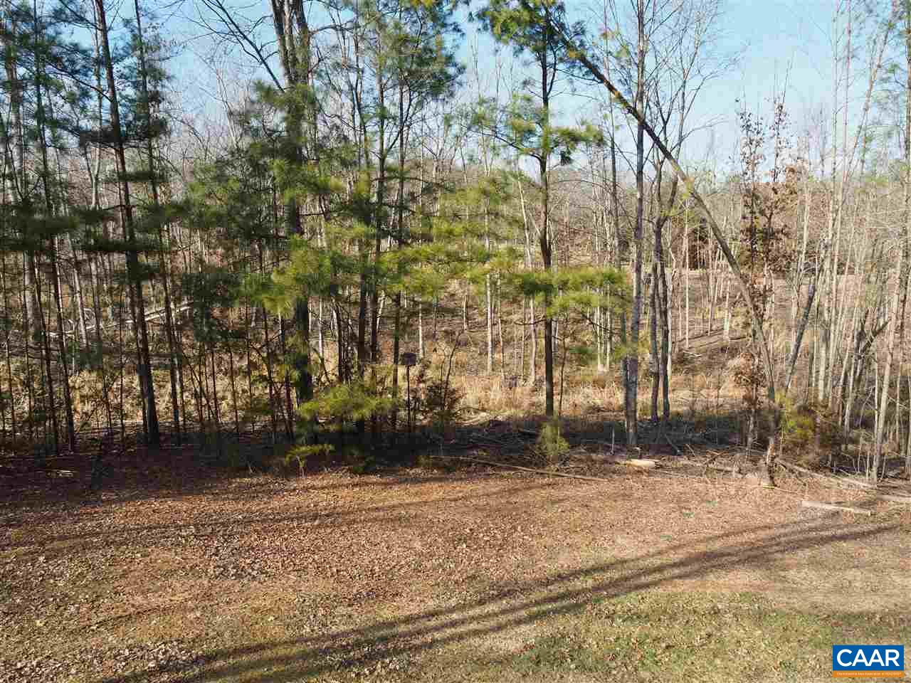 2880 Craigland Road Charlottesville, VA 22902 - Photo 43 of 48 a view of yard