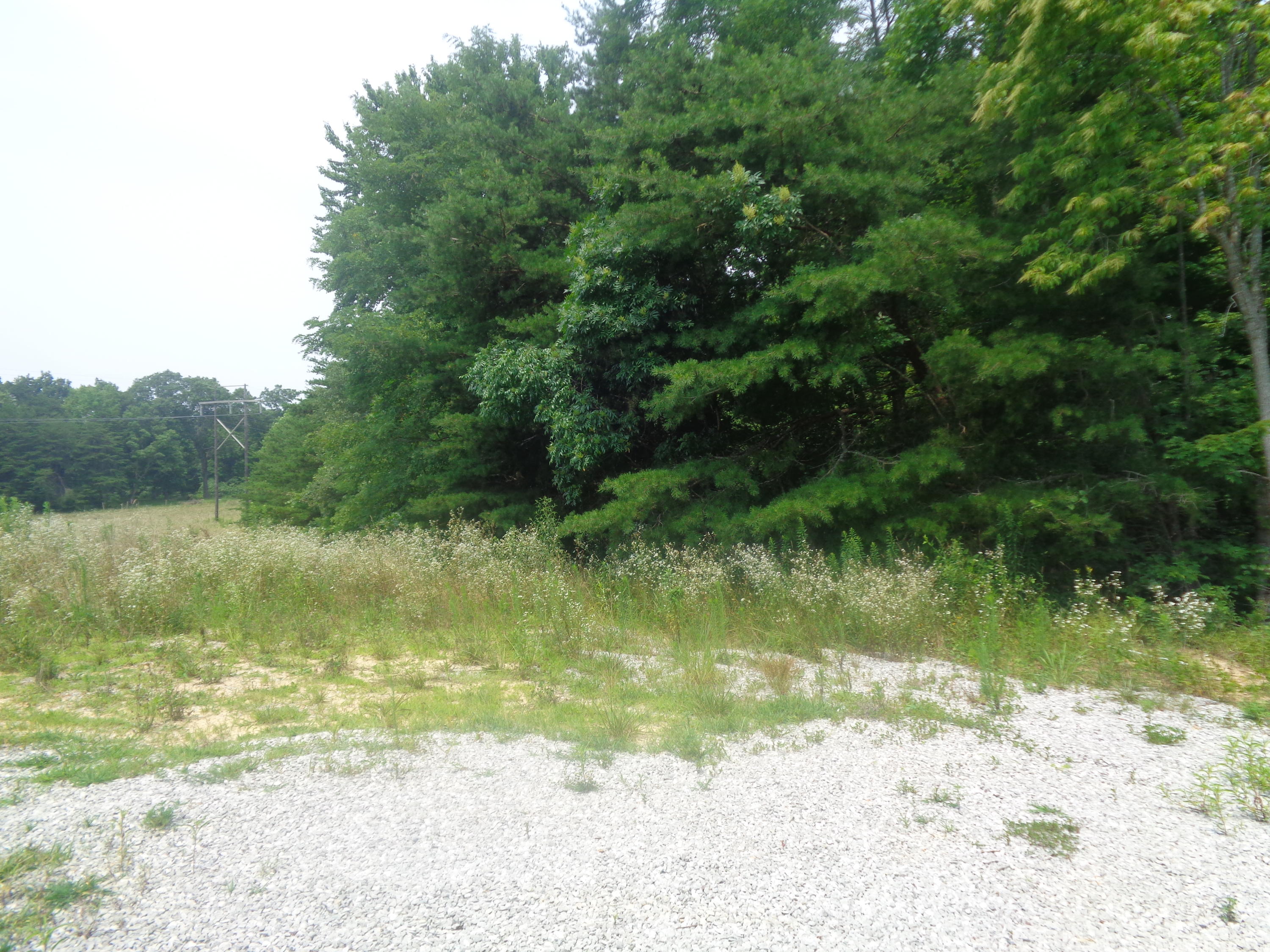 1468 County Farm Road London, KY 40741 - Photo 20 of 26 DSC05472