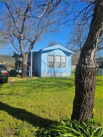 a large garden with tall trees