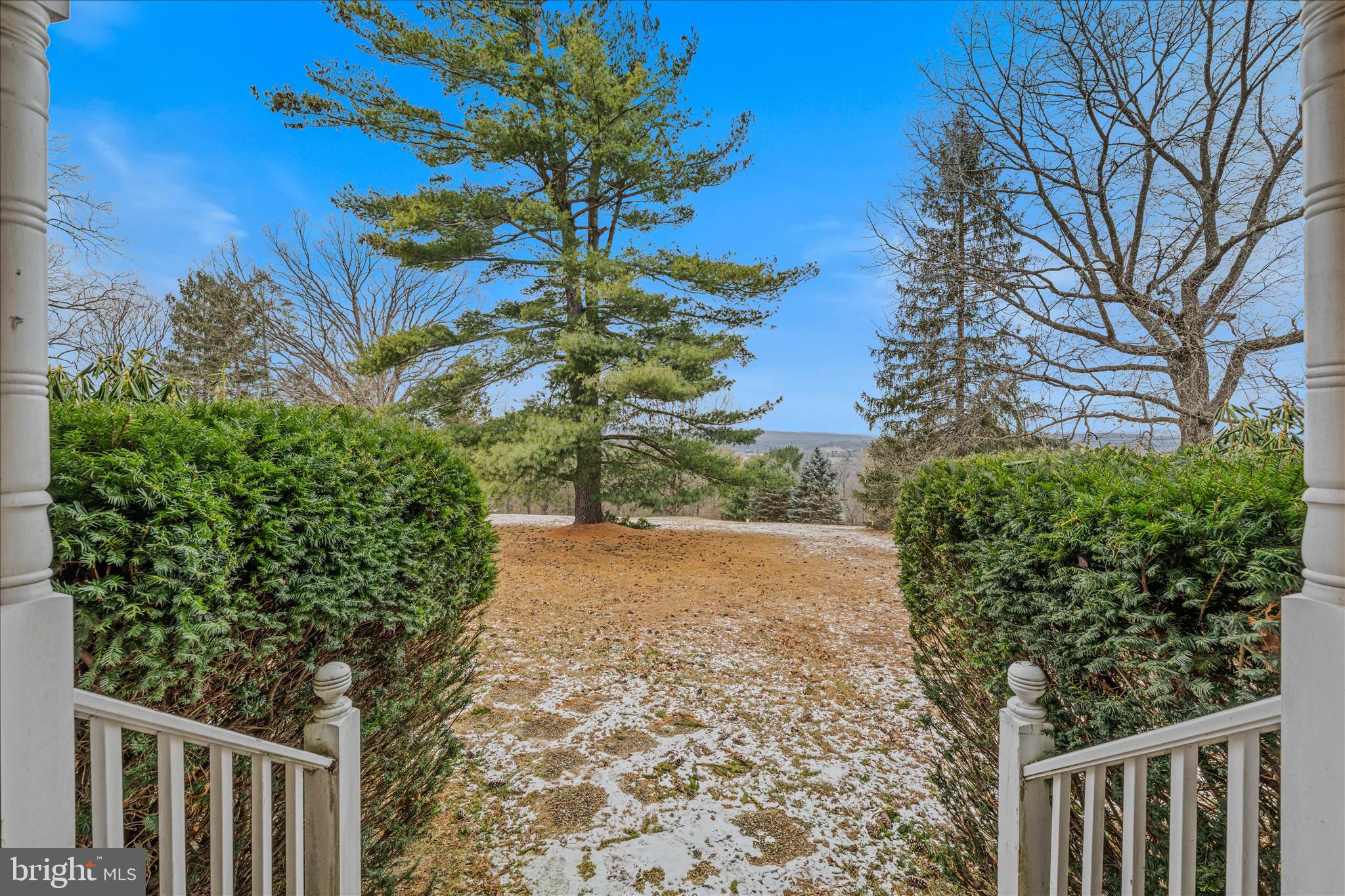 2509 Highland Ridge Road Berkeley Springs, WV 25411 - Photo 5 of 68 a view of a yard with plants and trees