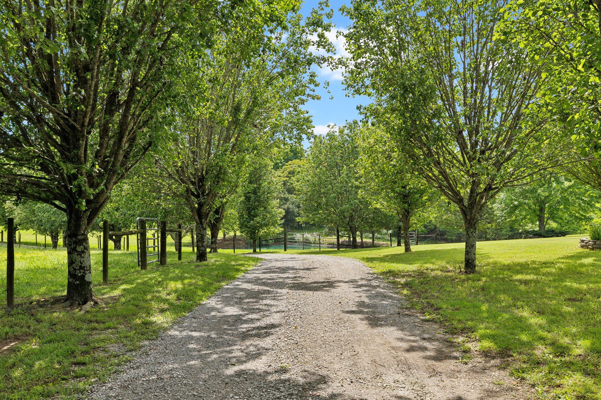 1890 Simmons Ridge Road Lewisburg, TN 37091 - Photo 6 of 89 Gallery Image 6