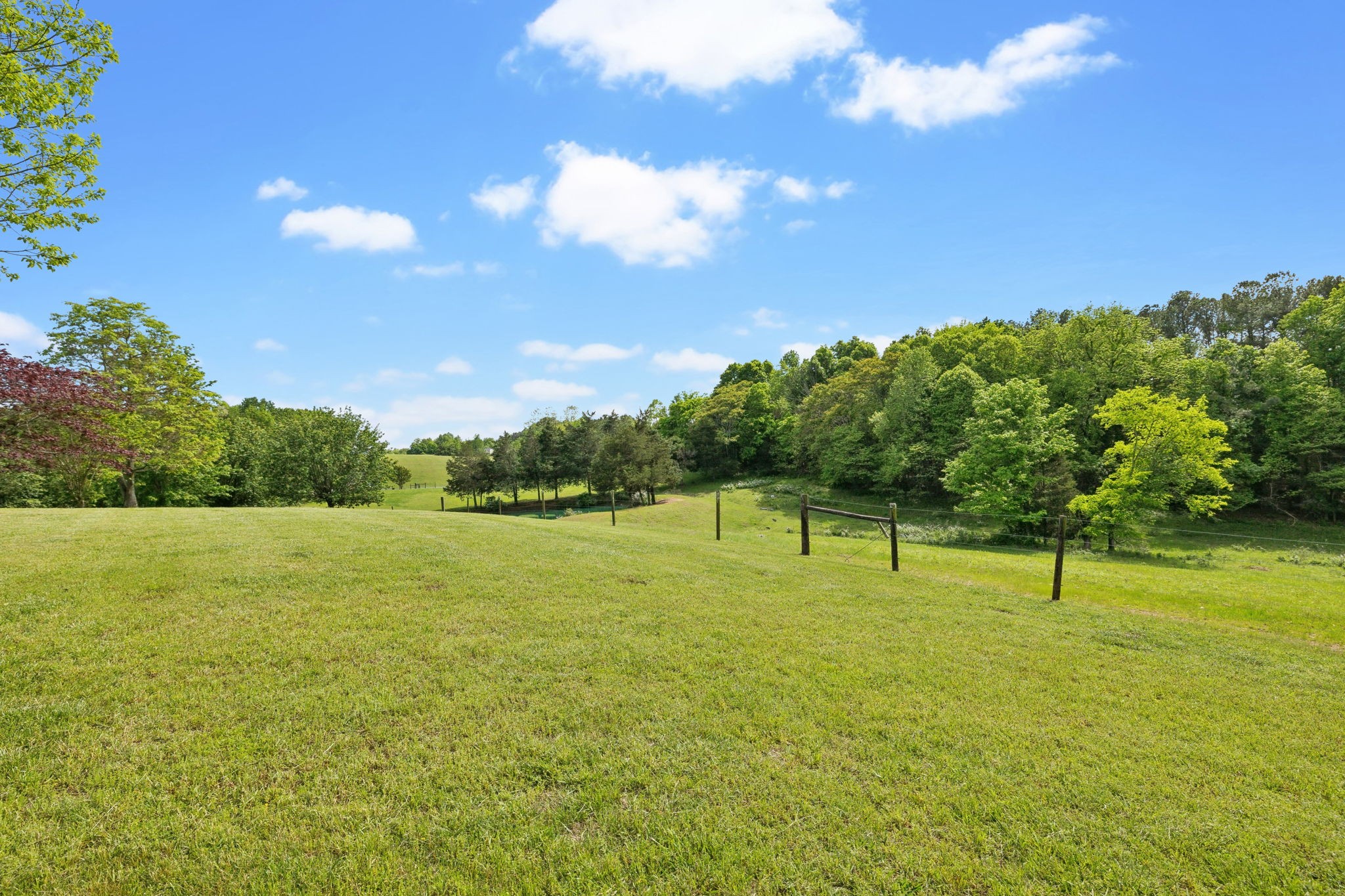 1890 Simmons Ridge Road Lewisburg, TN 37091 - Photo 81 of 89 Gallery Image 81