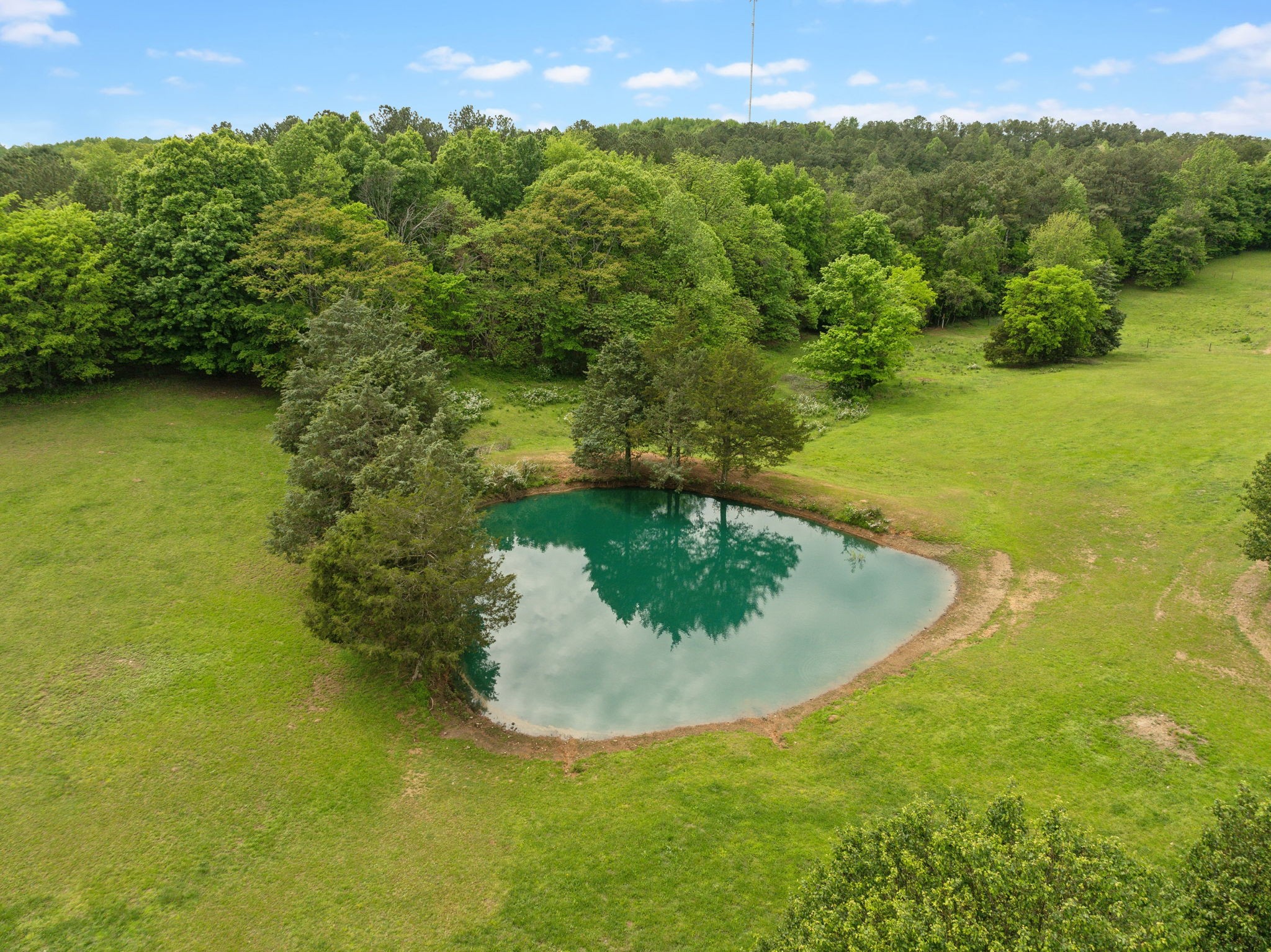 1890 Simmons Ridge Road Lewisburg, TN 37091 - Photo 84 of 89 Gallery Image 84