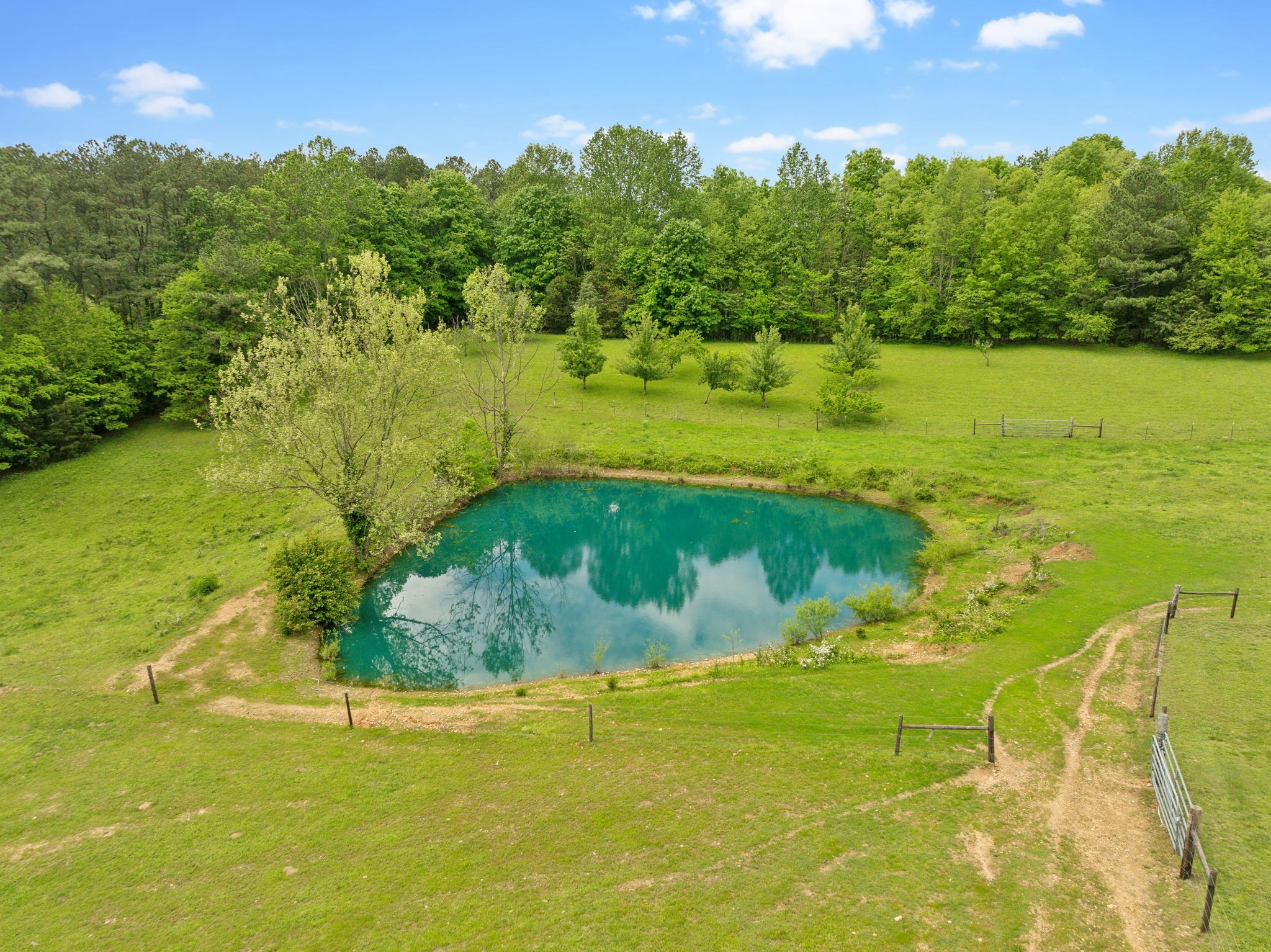 1890 Simmons Ridge Road Lewisburg, TN 37091 - Photo 85 of 89 Gallery Image 85