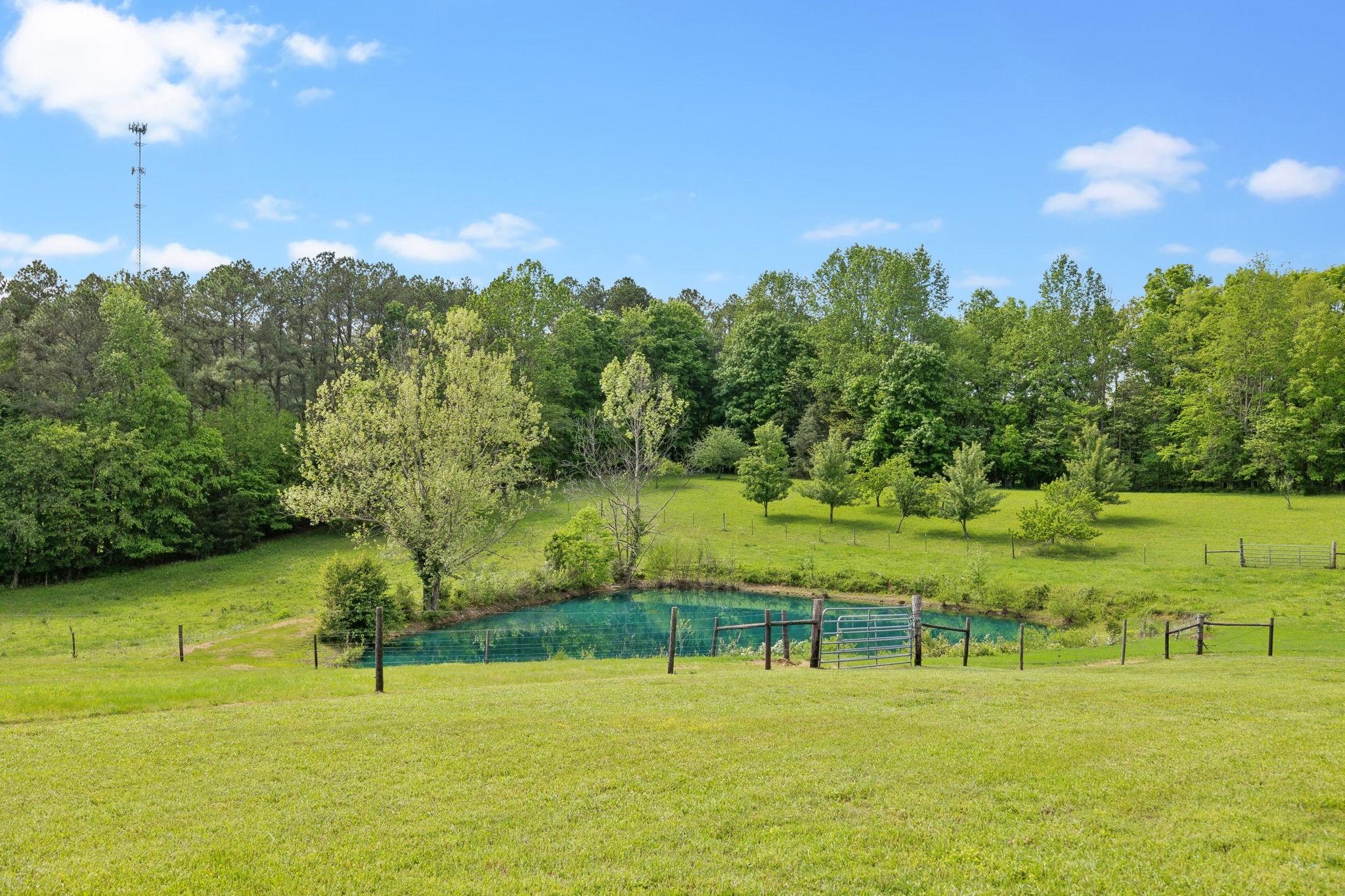 1890 Simmons Ridge Road Lewisburg, TN 37091 - Photo 86 of 89 Gallery Image 86