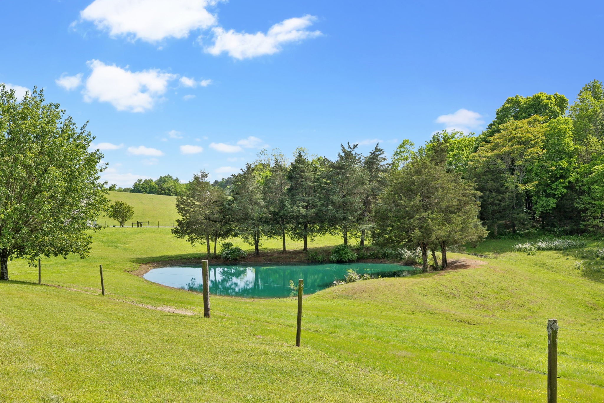 1890 Simmons Ridge Road Lewisburg, TN 37091 - Photo 88 of 89 Gallery Image 88