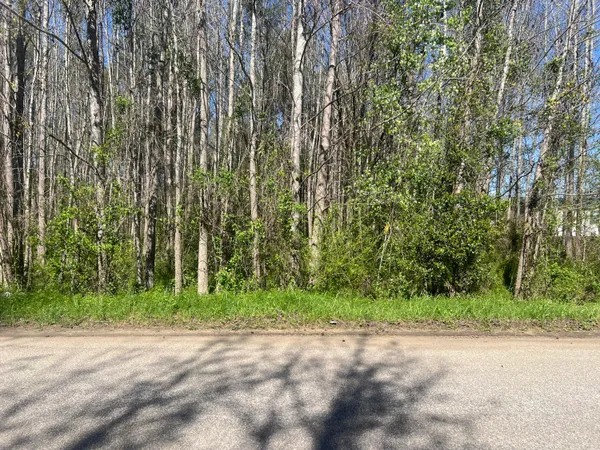 $19,500 | 0 McNair Drive, Summerton, SC 29148
