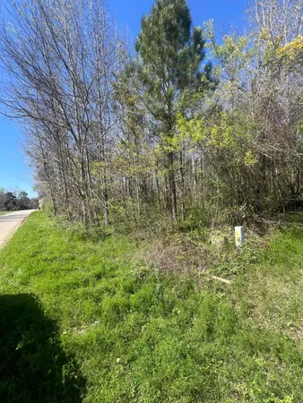 $19,500 | 0 McNair Drive, Summerton, SC 29148
