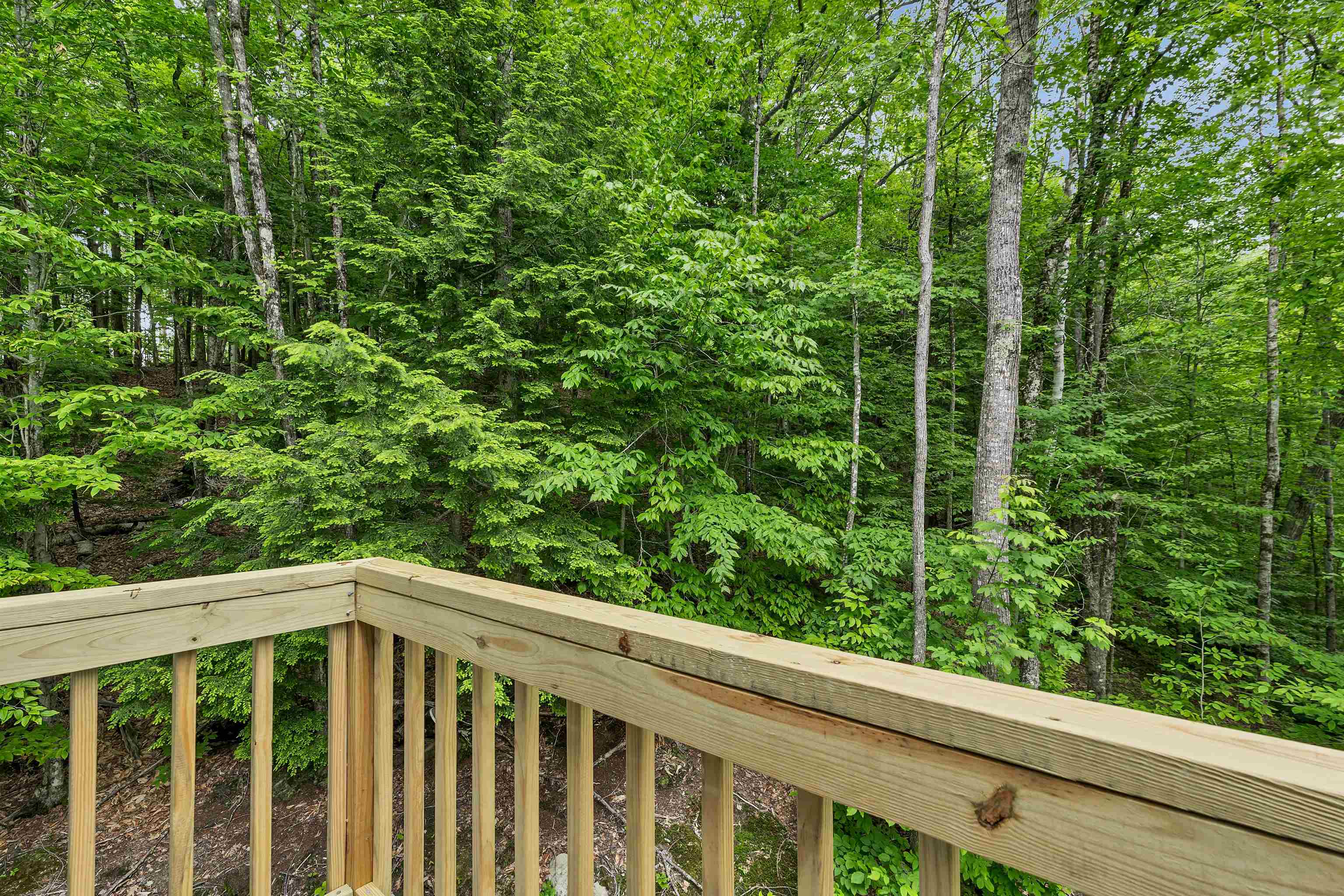 171 Bell Road Plymouth, NH 03264 - Photo 11 of 23