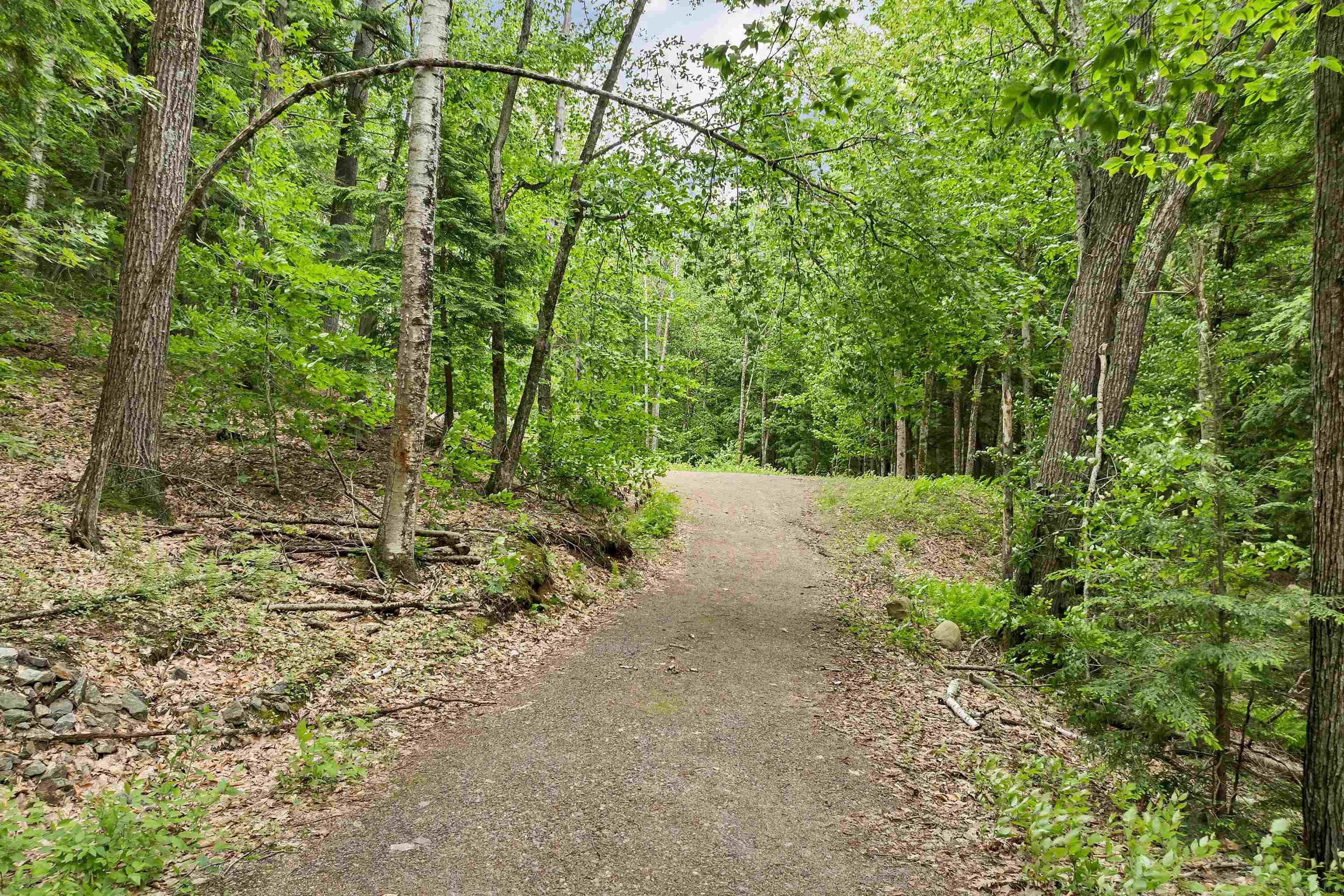 171 Bell Road Plymouth, NH 03264 - Photo 19 of 23