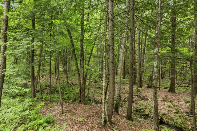 $215,000 | 171 Bell Road, Plymouth, NH 03264