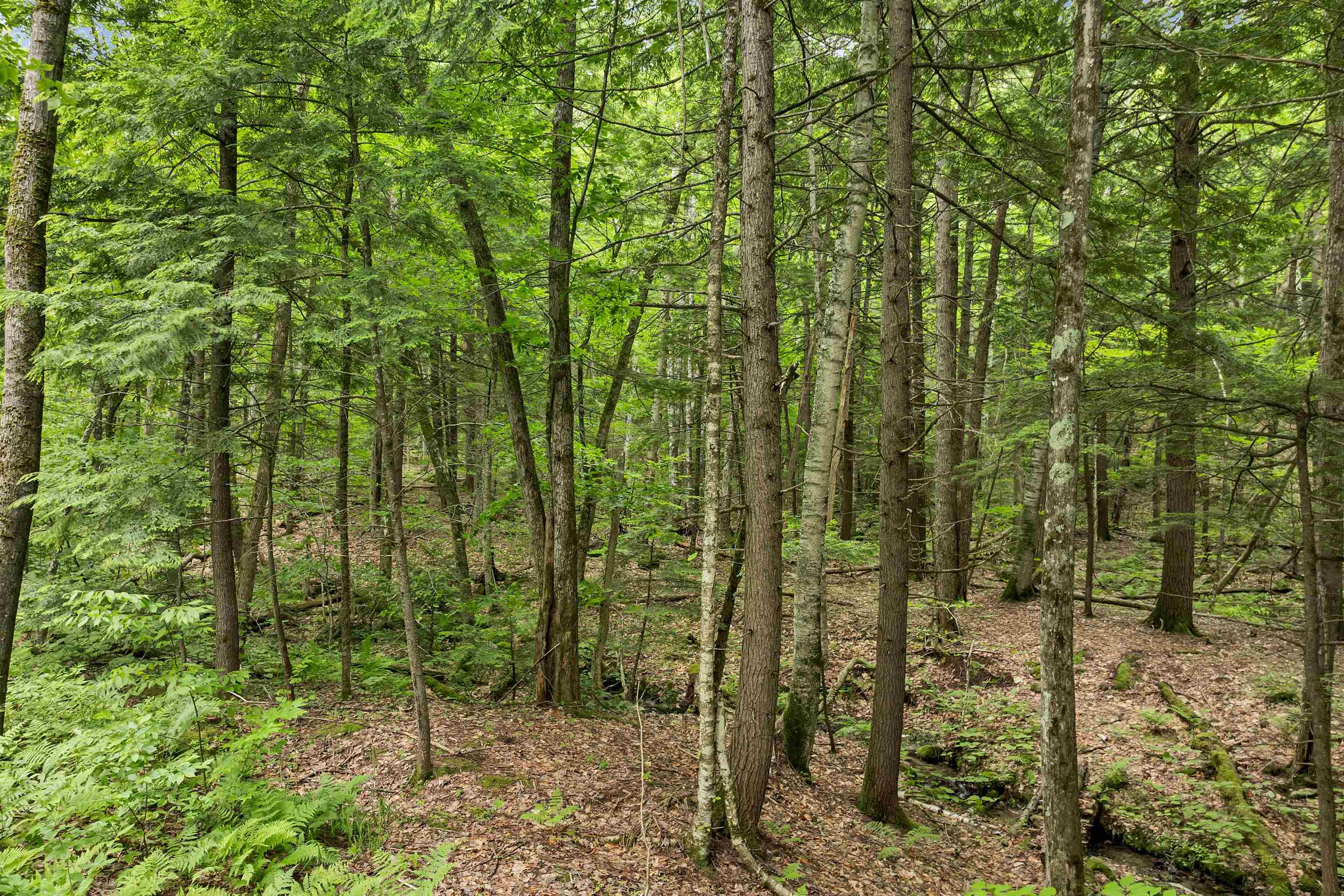 171 Bell Road Plymouth, NH 03264 - Photo 23 of 23