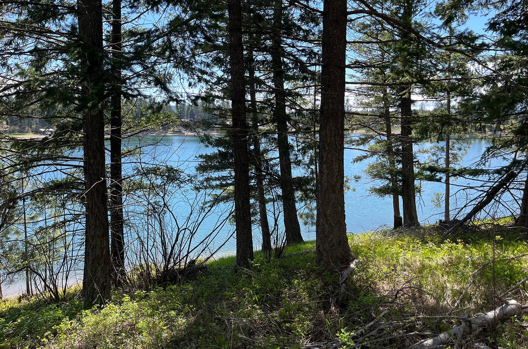 716 Echo Lake Road Bigfork, MT 59911 - Photo 12 of 14 Gallery Image 12