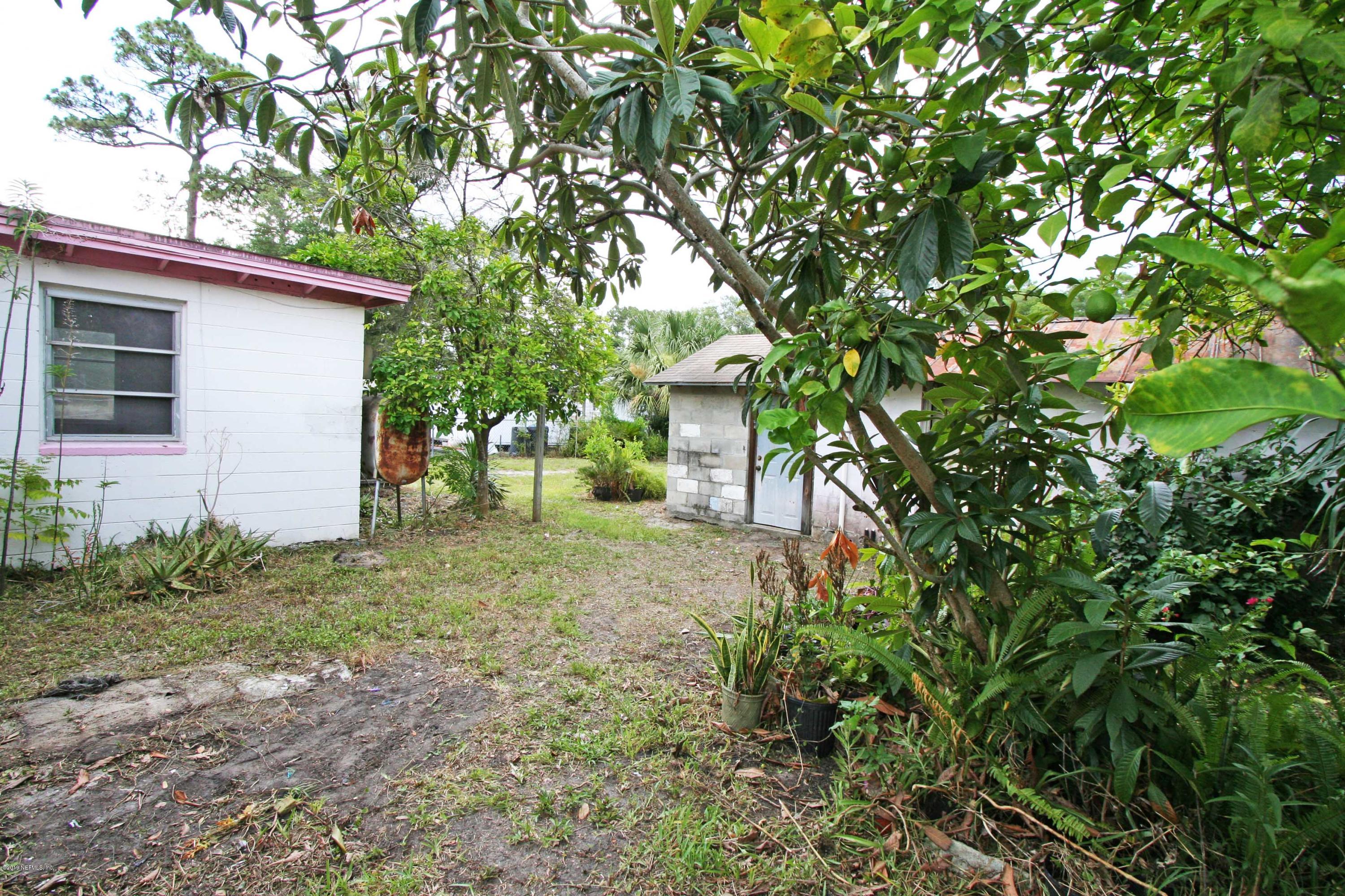 3831 Freeman Road Jacksonville, FL 32207 - Photo 10 of 11 a backyard of a house with plants and tree