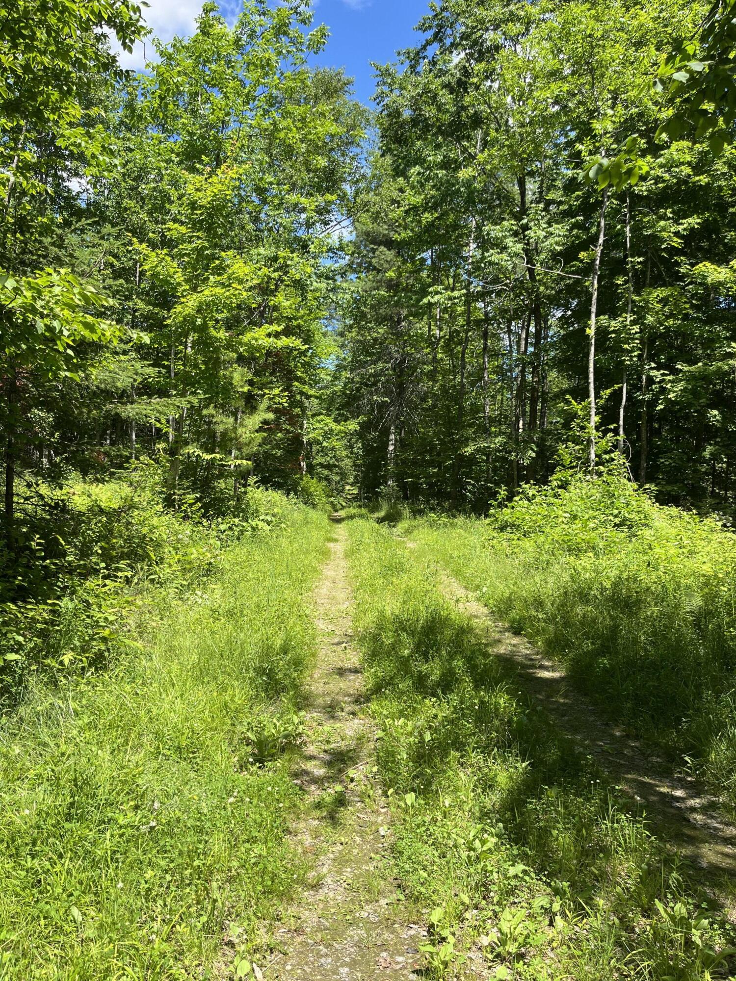 5 Fickett Road Etna, ME 04434 - Photo 2 of 23
