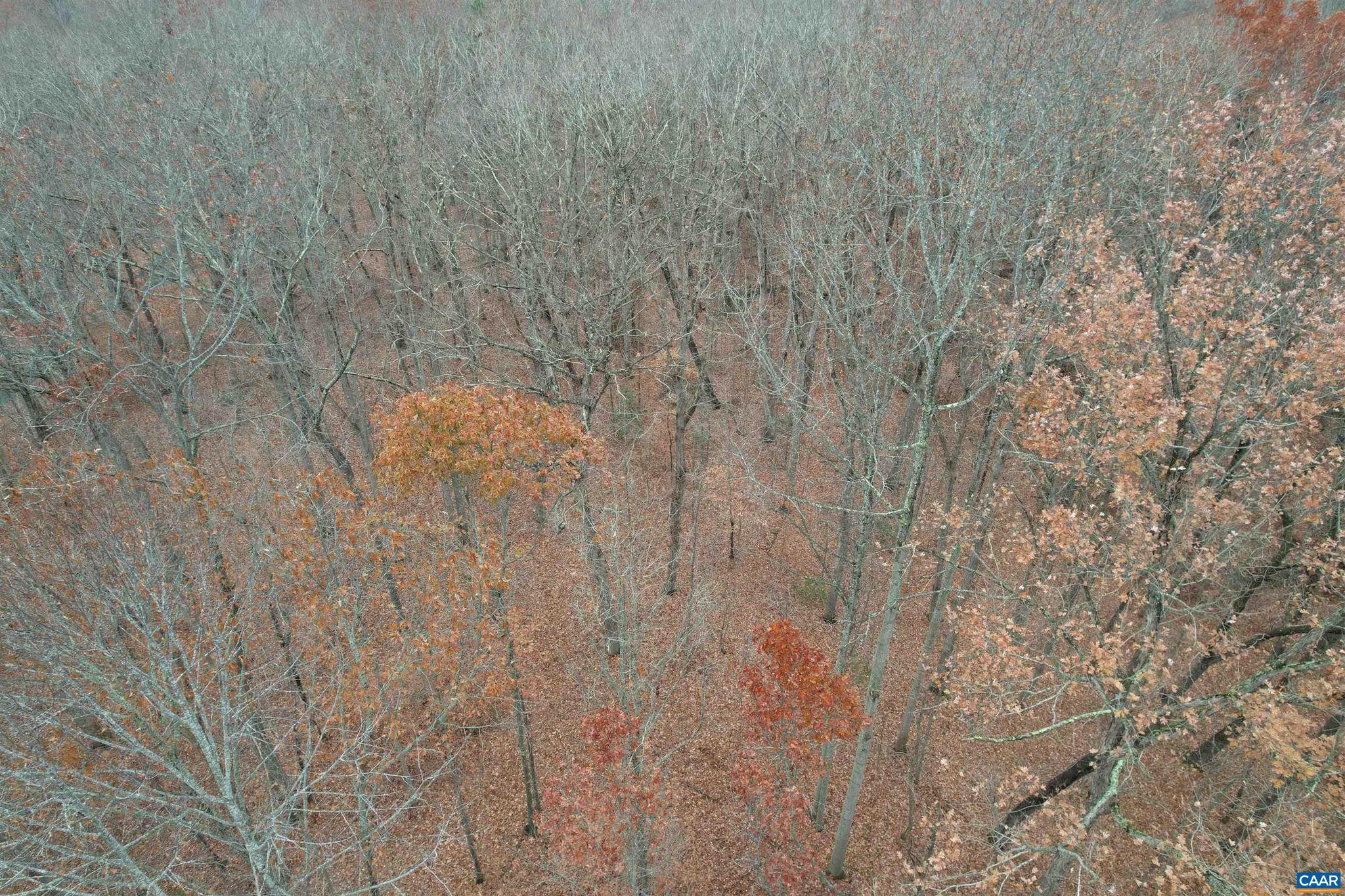 0 Three Notch Road Louisa, VA 23093 - Photo 15 of 33