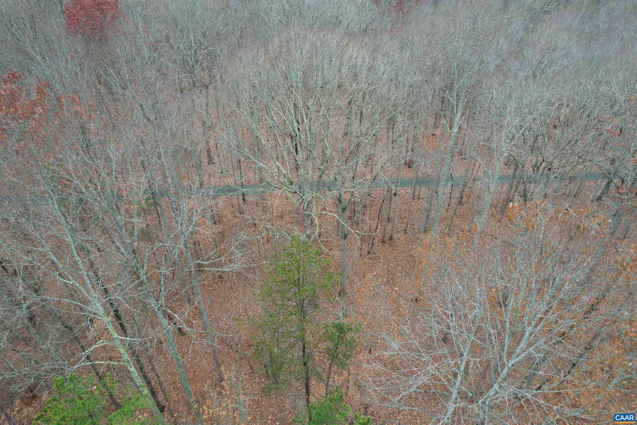 0 Three Notch Road Louisa, VA 23093 - Photo 16 of 33