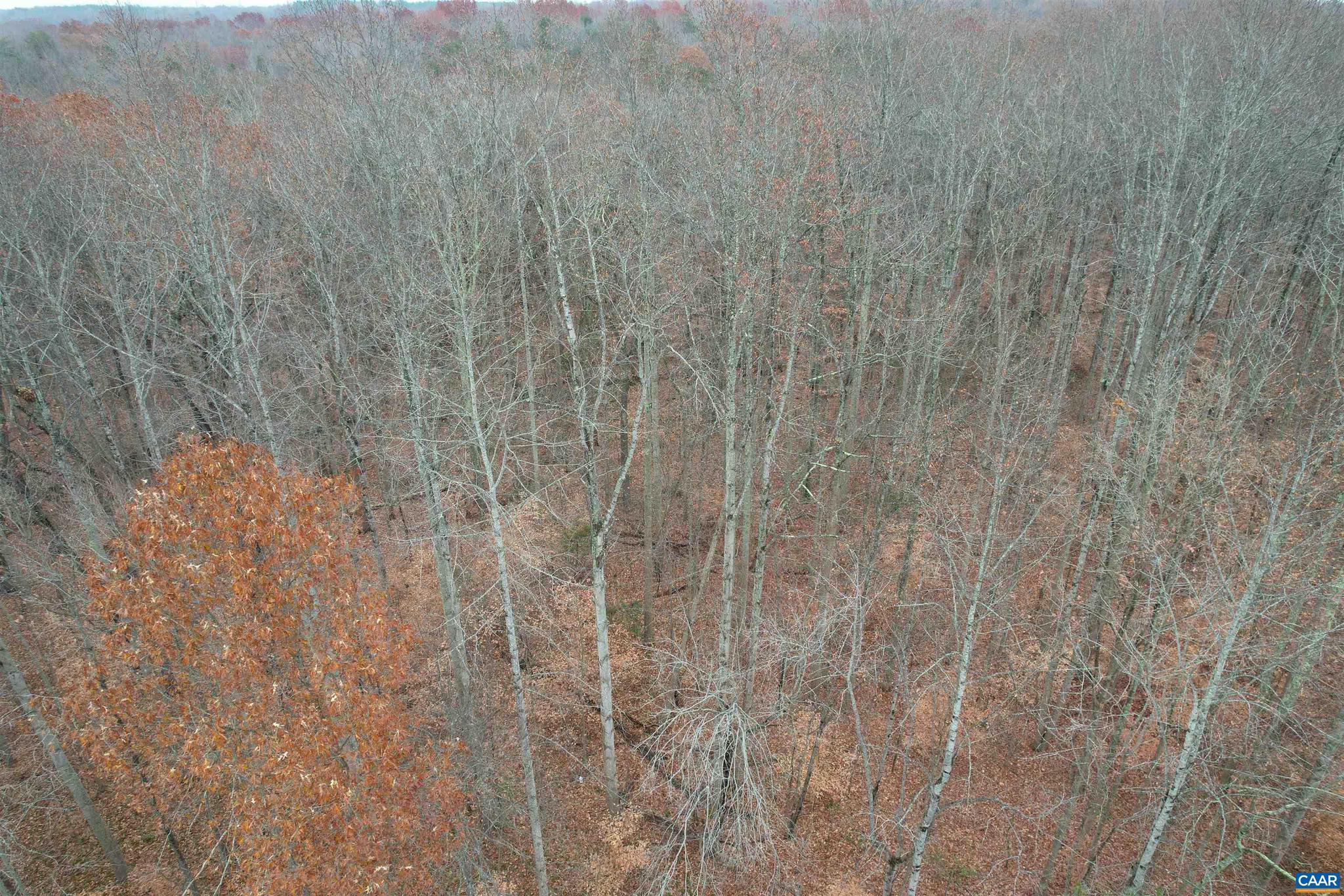 0 Three Notch Road Louisa, VA 23093 - Photo 10 of 33