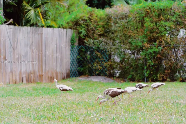 $3,500 | 1075 Northeast 120th Street, Biscayne Park, FL 33161