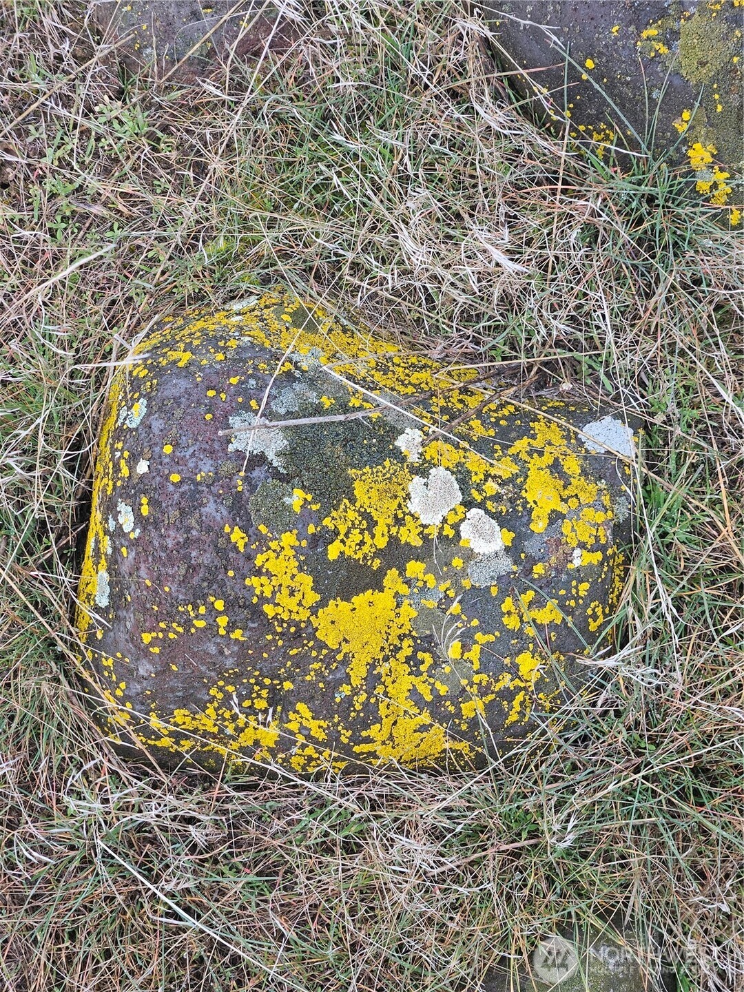 9312 Rd H Northwest Ephrata, WA 98823 - Photo 2 of 14